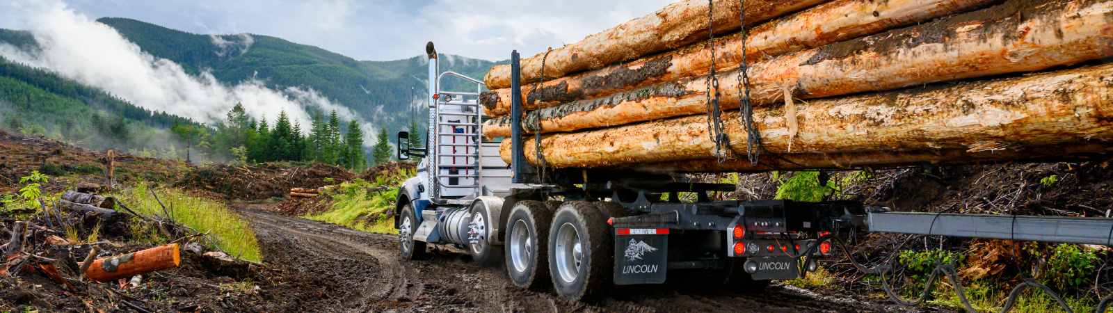 HeaderImage_Logging